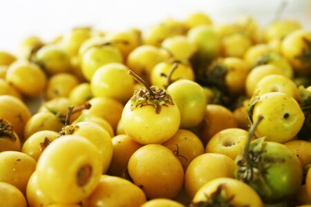 Juicy nance, salvadorian foodの写真素材