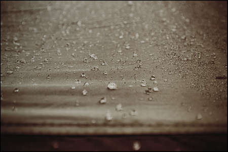 Rain Dropの写真素材