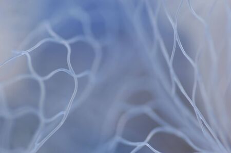 Abstract background with net texture - look in portfolio for moreの写真素材