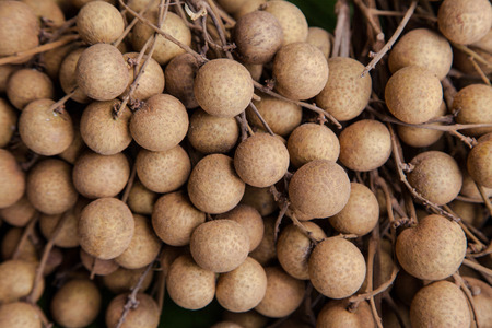 Dimocarpus longan, commonly known as the longanの写真素材