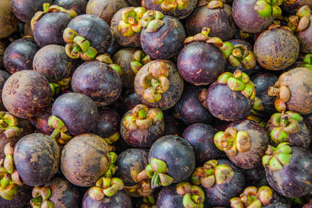  purple mangosteen の写真素材