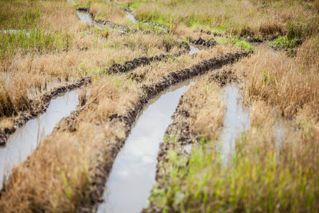 Truck tires footprint on the mudの写真素材