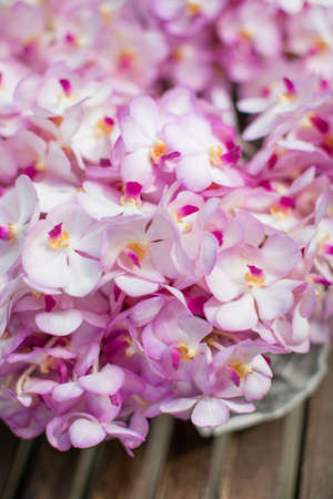 orchid on wooden tableの写真素材