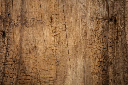 texture of bark wood backgroundの写真素材