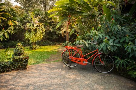 Red retro bicycle in park.の写真素材
