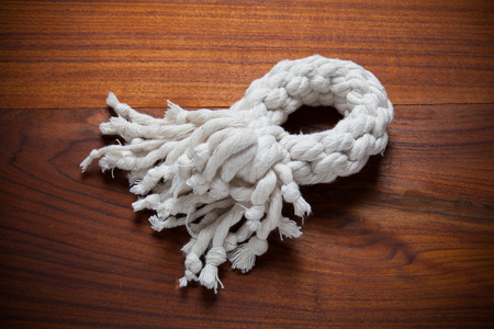 Cotton rope for dog toyの写真素材