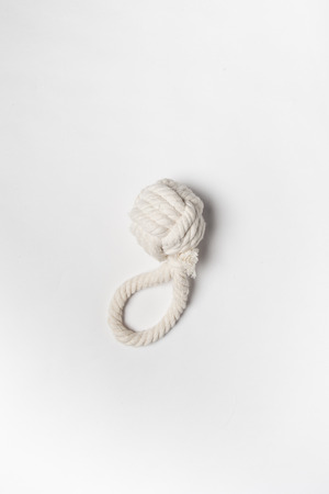 Dog toy - Natural cotton dog toy on a white backgroundの写真素材
