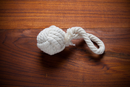 Cotton rope for dog toyの写真素材