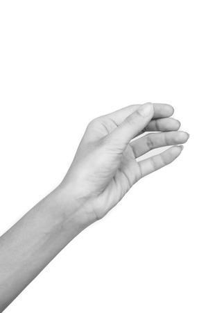 Beautiful woman hand holding isolated on white backgroundの写真素材