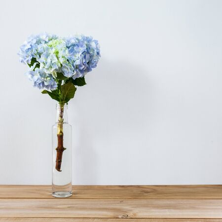 One single hydrangea in a glass bottleの写真素材