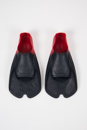 Flippers isolated on the white backgroundの写真素材