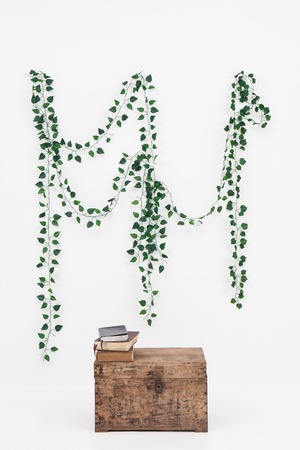 books on a wooden box with ivy backgroundの写真素材