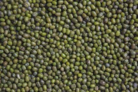 green bean backgroundの写真素材