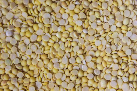 yellow bean backgroundの写真素材