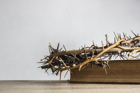 A thorn crown on the Holy Bible with light background.