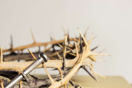A thorn crown with nail and Bible on a wooden table over the light background
