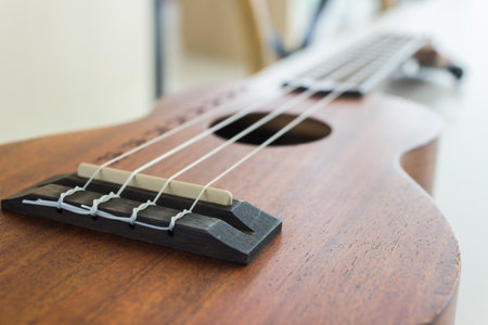 A close up guitar with nature light.の写真素材