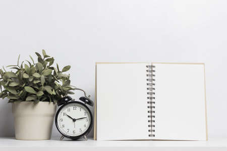A mock up white note and a coffee mug with plant on table over a white background.の写真素材