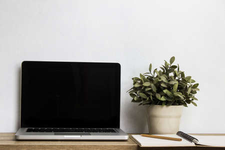 A mock up white photo frame, plant with coffee cups and bible on a wooden table.の写真素材
