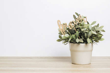 A word "forever" with plant on a wooden table.の写真素材