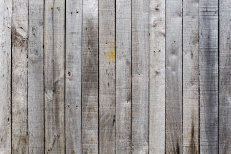 A light grey texture for background.