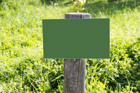empty wooden billboard in the forestの写真素材