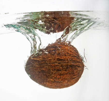 Coconut in water splash on white backgroundの写真素材