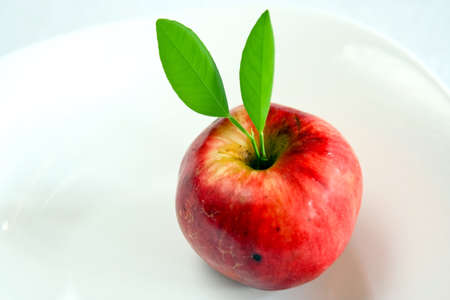 Apple with green leavesの写真素材