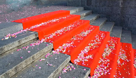 Stairs with red carpetの写真素材