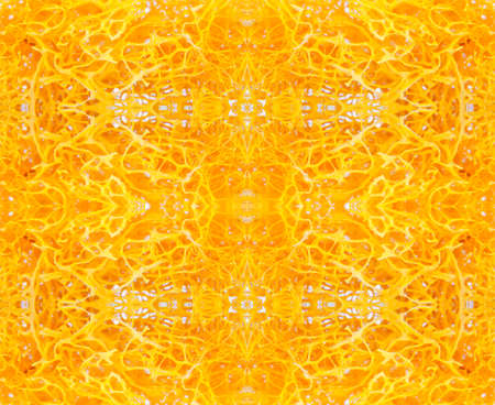 Abstract macro background from yellow branches and curves
の写真素材