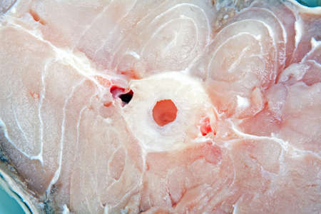 Catfish steak, close viewの写真素材