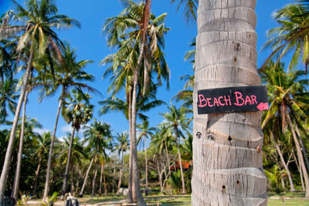 Beach bar sign on palm tree trunk in Thailandの写真素材