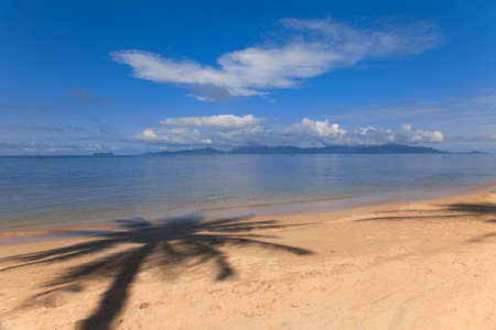 Palm tree shadow on the beach sand on tropical resort
の写真素材