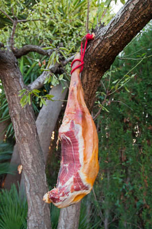 Hammon pork leg on the tree branch, outdoorの写真素材