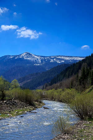Mountain valley with river in Carpathians, Ukraineの写真素材