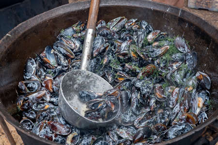 Bowl with mussels in cauldron, sauce and dillの写真素材