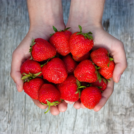 Fresh strawberries in male hands on background blurred treeの写真素材