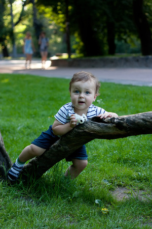 Little boy with a toy in hands lying on the tree in the parkの写真素材