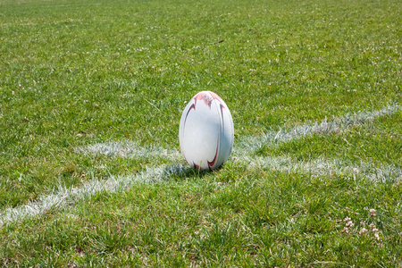 Rugby ball lying on the green grass on lineの写真素材