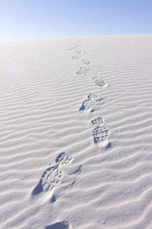 Sand Dunes with Ripplesの写真素材