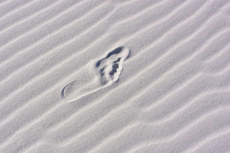 Sand Dunes with Ripplesの写真素材