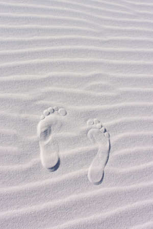 Sand Dunes with Ripplesの写真素材