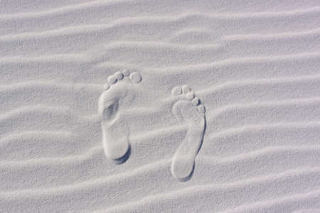 Sand Dunes with Ripplesの写真素材