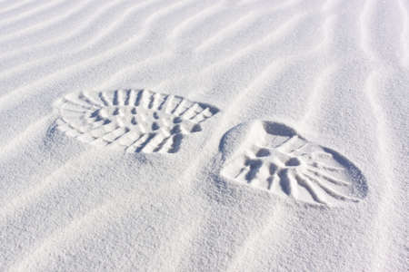 Sand Dunes with Ripplesの写真素材