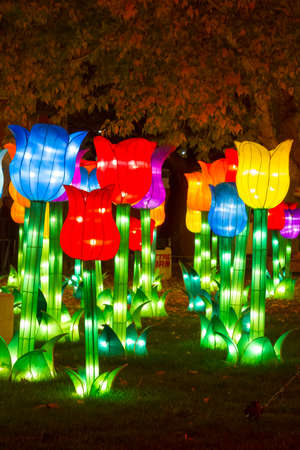 ALBUQUERQUE, NEW MEXICO, USA- NOVEMBER 12,2017: Chinese Lantern Festival lit up at night to celebrate the Chinese New Yearのeditorial素材