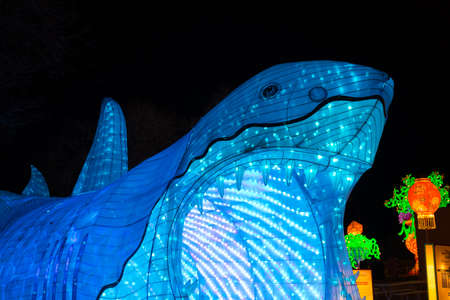 ALBUQUERQUE, NEW MEXICO, USA - NOVEMBER 29, 2018: Dragon Lights Albuquerque, Great White Shark Lantern. Silk lanterns a Chinese traditional art celebrates the Chinese New Year. Handcrafted by artisans from Zigong, Chinaのeditorial素材