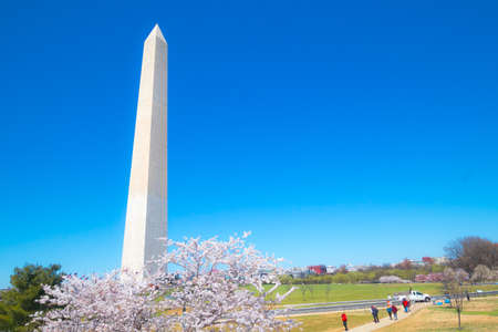 Washington, DC, USA - April 1, 2019: Washington Monument, during the cherry blossom festival.