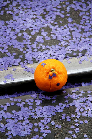A single orange laying on the open street surrounded by purple paper confetti (during the basel carnival, throwing fresh oranges into the watching crowd is part of the fun).の写真素材