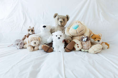 A group of cute stuffed animals on a white couch representing diversity, multiculturalism and inclusionの写真素材
