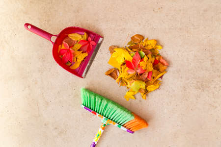 Cleaning dry autumn leaves from a concrete floor with a colorful broom and shovelの写真素材